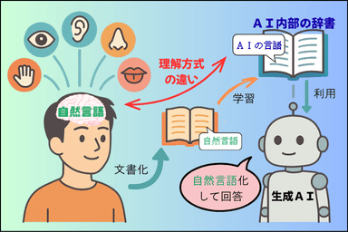 理解方式の違い